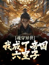 魂穿异世我成了帝国六皇子李枫