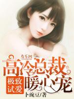 靳褚西沈柔
