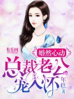 陆靳南叶凝汐