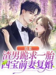锦初傅夜宸阅读