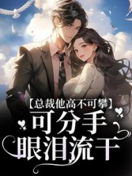 总裁他高不可攀，可分手眼泪流干