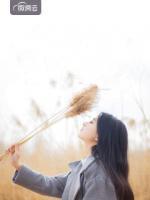 傅临深苏瑞