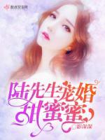 陆夜寒苏溪