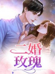 二婚玫瑰阅读