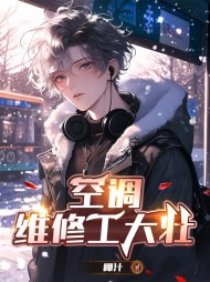 空调维修工大壮阅读