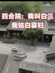 四合院:我叫白三我姑白寡妇阅读