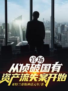 官场：从侦破国有资产流失案开始阅读