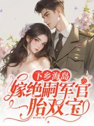 下乡海岛，嫁绝嗣军官一胎双宝阅读