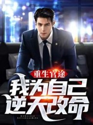 重生官途：我为自己逆天改命阅读