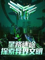 星路迷途：探索异界文明王禹