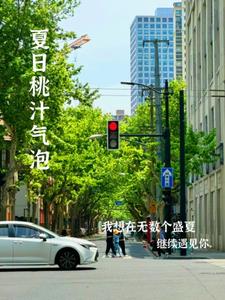 夏日桃汁气泡叶莺严赴阅读