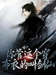 啥你管这个穿布衣的叫剑仙凌清风