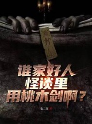 谁家好人怪谈里用桃木剑啊(陈阳)