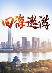 四海遨游老张陈冰结局