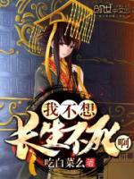 李城诸葛无明