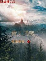 青天武帝(龙城老仙) - 青天武帝全文在线阅读 - 青天武帝最新章节 - 润准网