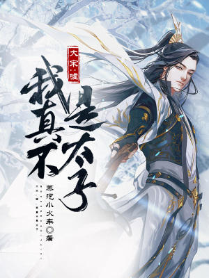 大宋：嘘，我真不是太子(蒸汽小火车) - 大宋：嘘，我真不是太子全文在线阅读 - 大宋：嘘，我真不是太子最新章节 - 润准网