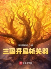 三国开局斩关羽(烟雨莽苍苍) - 三国开局斩关羽全文在线阅读 - 三国开局斩关羽最新章节 - 润准网