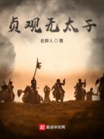 这太子，不做也罢！(李承乾李靖) - 这太子，不做也罢！全文在线阅读 - 这太子，不做也罢！最新章节 - 润准网