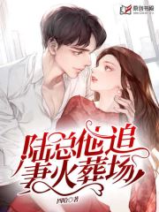 陆总他追妻火葬场(四哈) - 陆总他追妻火葬场全文在线阅读 - 陆总他追妻火葬场最新章节 - 润准网