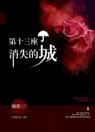 第十三座消失的城(城渡) - 第十三座消失的城全文在线阅读 - 第十三座消失的城最新章节 - 润准网
