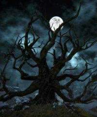 蛇形黑玉(江河) - 蛇形黑玉全文在线阅读 - 蛇形黑玉最新章节 - 润准网