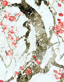 楚云苓燕王(杪杪) - 楚云苓燕王全文在线阅读 - 楚云苓燕王最新章节 - 润准网